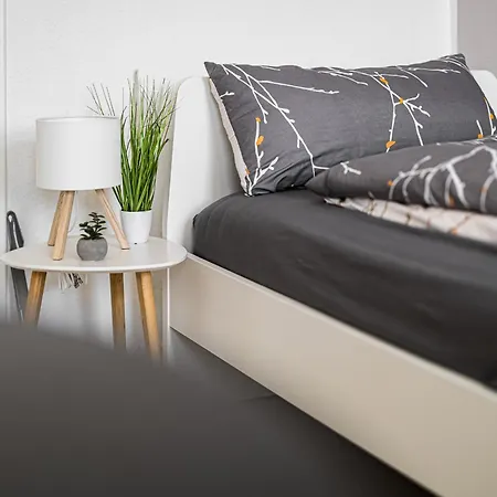 3g Lv 5-zimmer-apartment Hbf