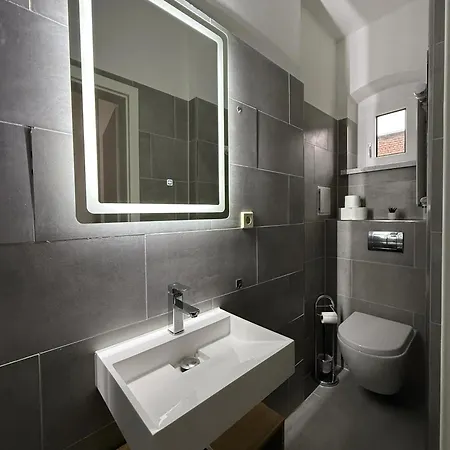 3g Lv 5-zimmer-apartment Hbf Галль