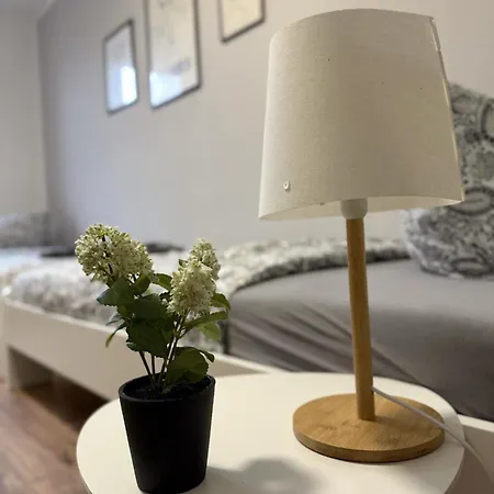 3g Lv 5-zimmer-apartment Hbf Апартаменты