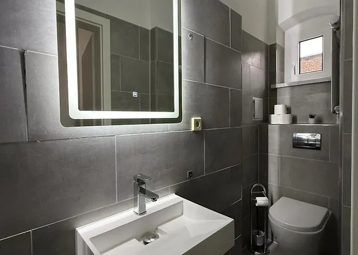 3g Lv 5-zimmer-apartment Hbf Halle (Saale)